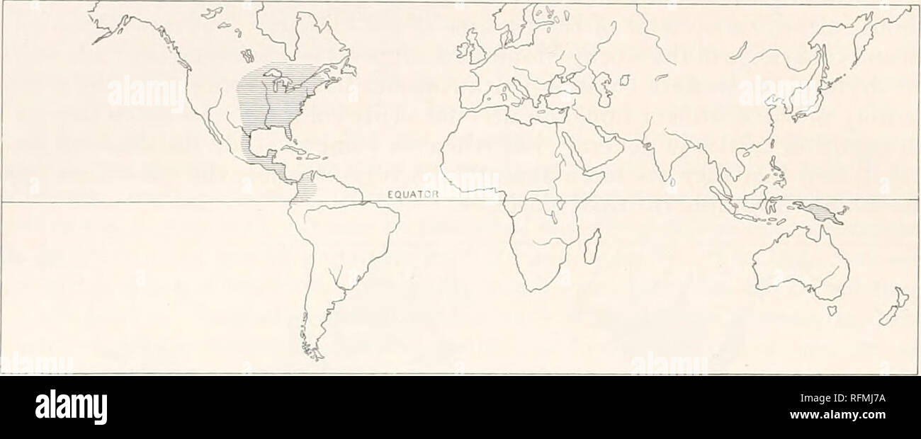 New Guinea Island Map Stock Photos New Guinea Island Map Stock