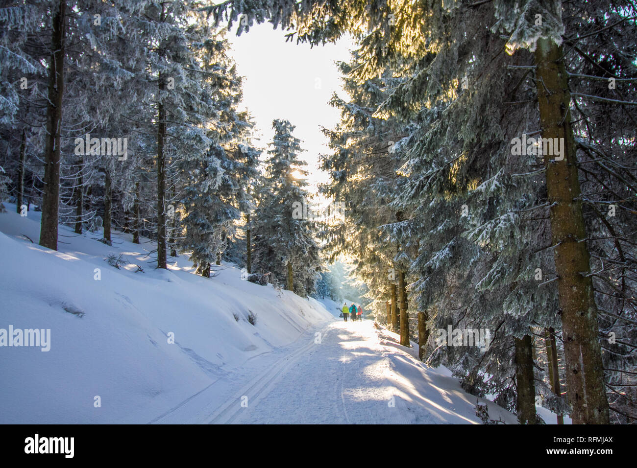 Beautiful white snowy winter landscape at the Black Forest in Southern Germany Stock Photo