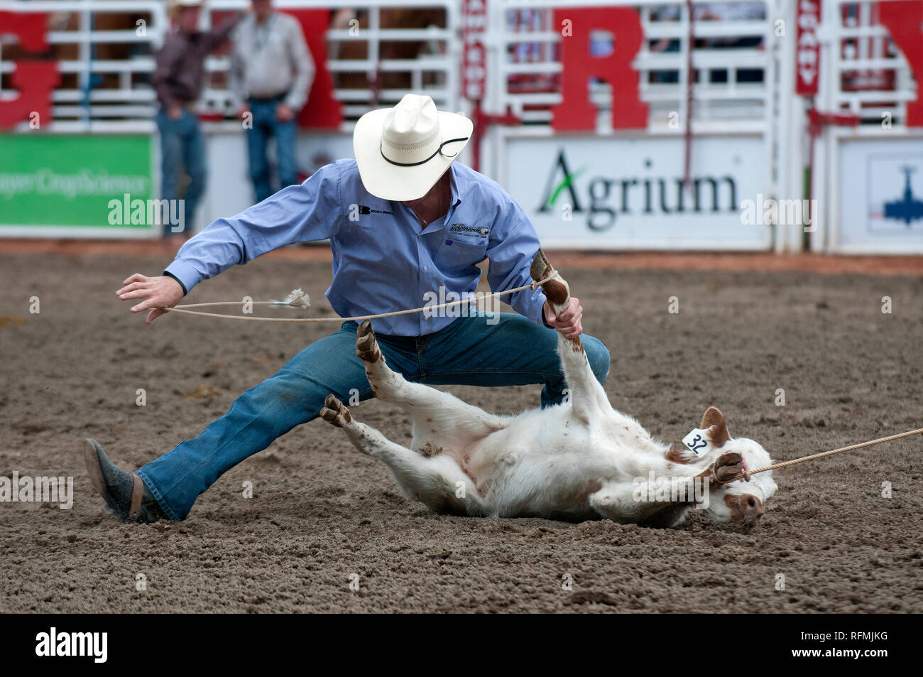Tie Down Roping High Resolution Stock Photography And Images Alamy Tie Down Roping High Resolution Stock Photography And Images Alamy