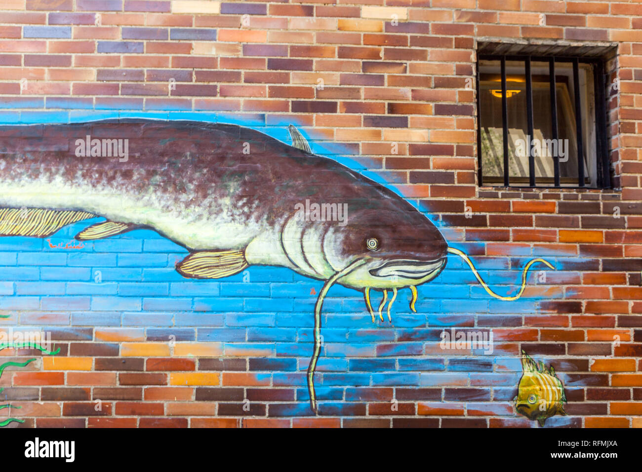 Catfish painted on a brick wall with a small grid window Stock Photo