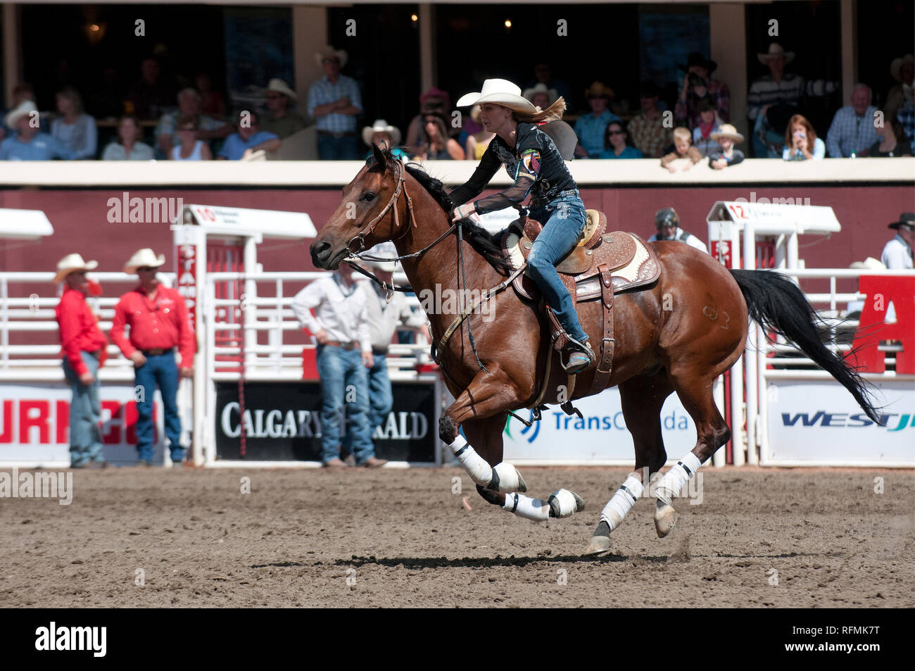 Barrel racing at Calgary Stampede, Calgary, Alberta, Canada Stock Photo