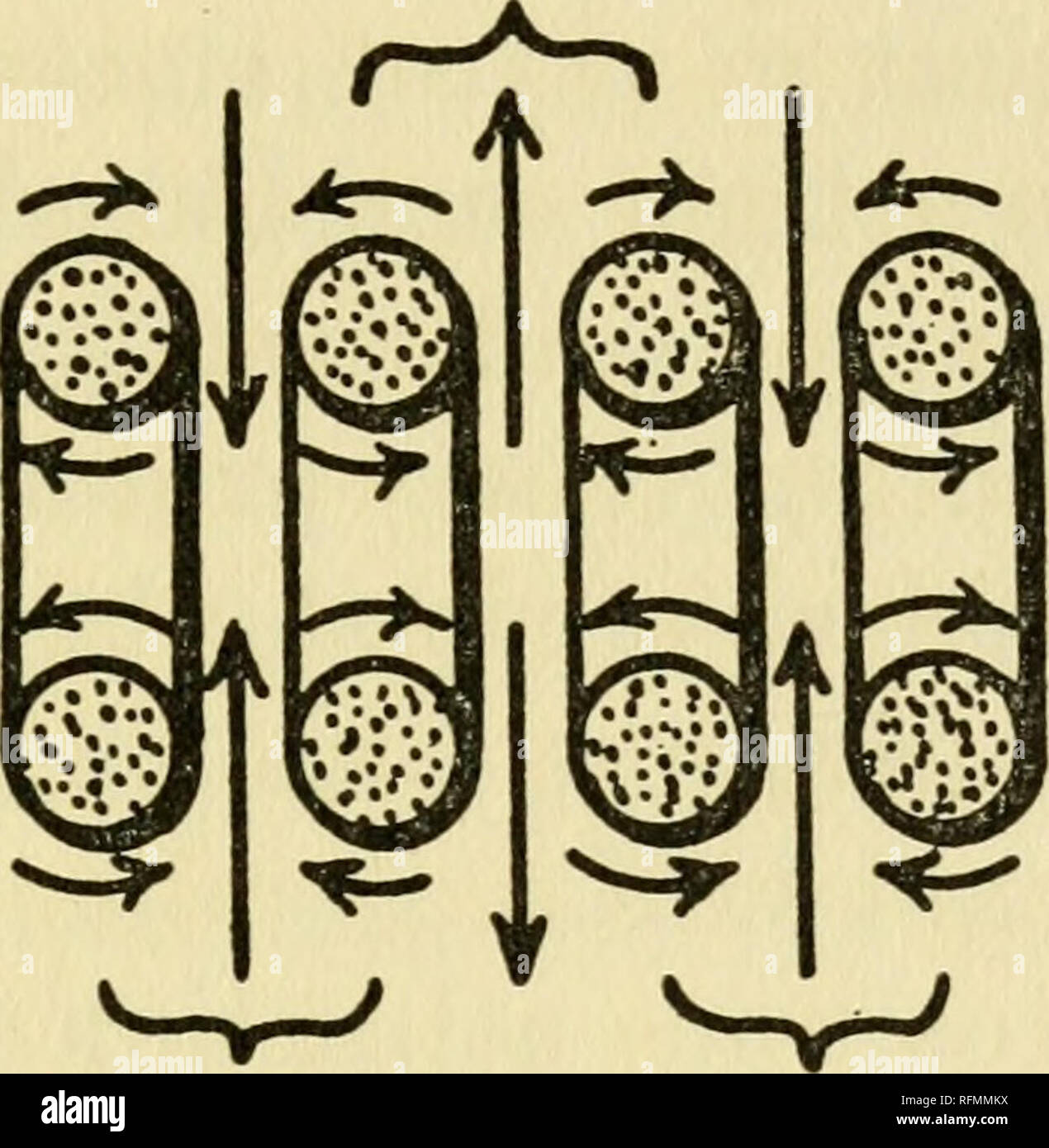 Nuclear Vortex . Can science explain life?. Biochemistry; Proteins; Life (Biology ...