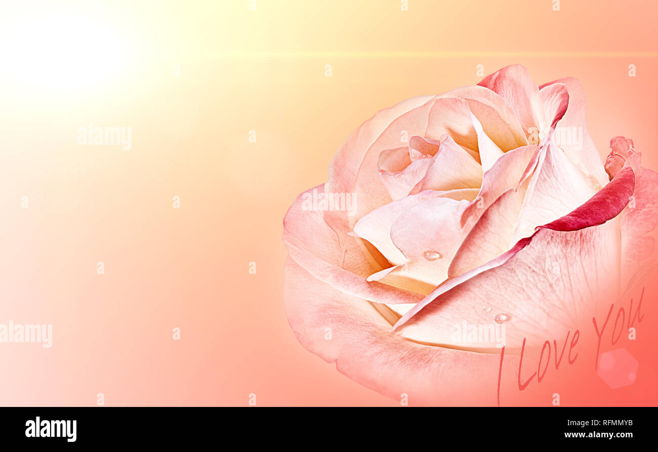 Happy Valentine's day. Valentines day card concept.Valentines Day background with roses. Stock Photo