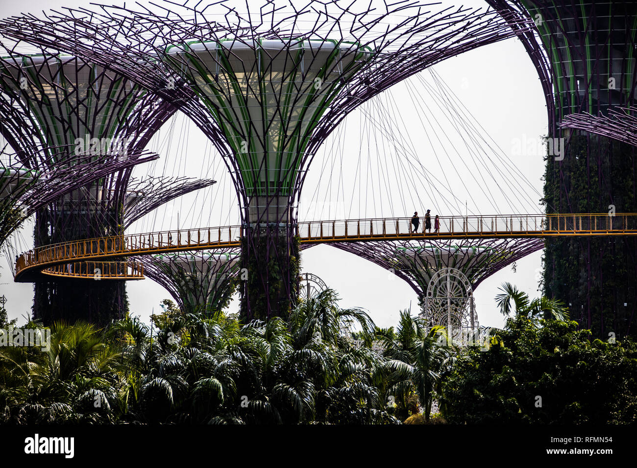 Tourists walking on the OCBC skyway through the Supertree Grove, Gardens by the Bay, Singapore Stock Photo