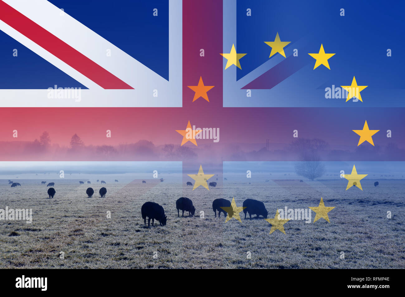 Brexit concept, The English countryside with sheep in a field with the Union Jack and E.U flags over layered on top. Stock Photo