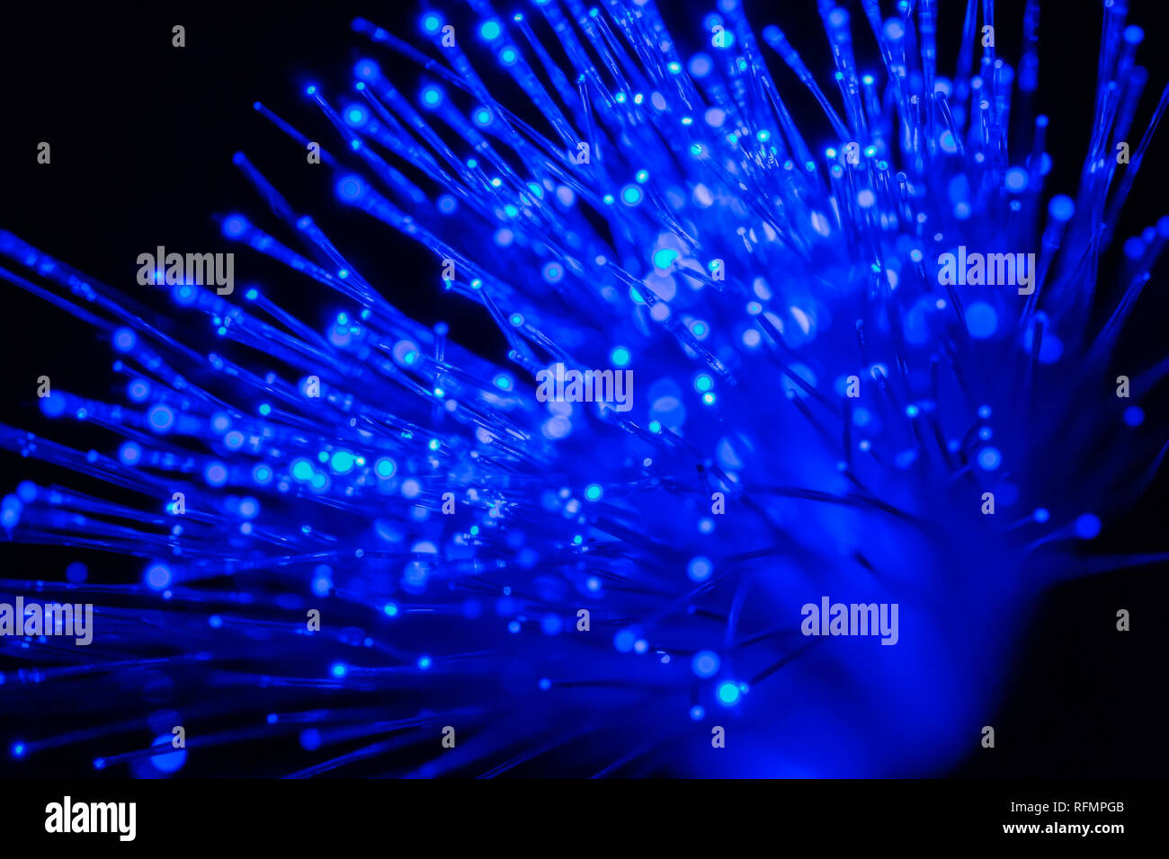 bundle of optic fibers in blue light Stock Photo