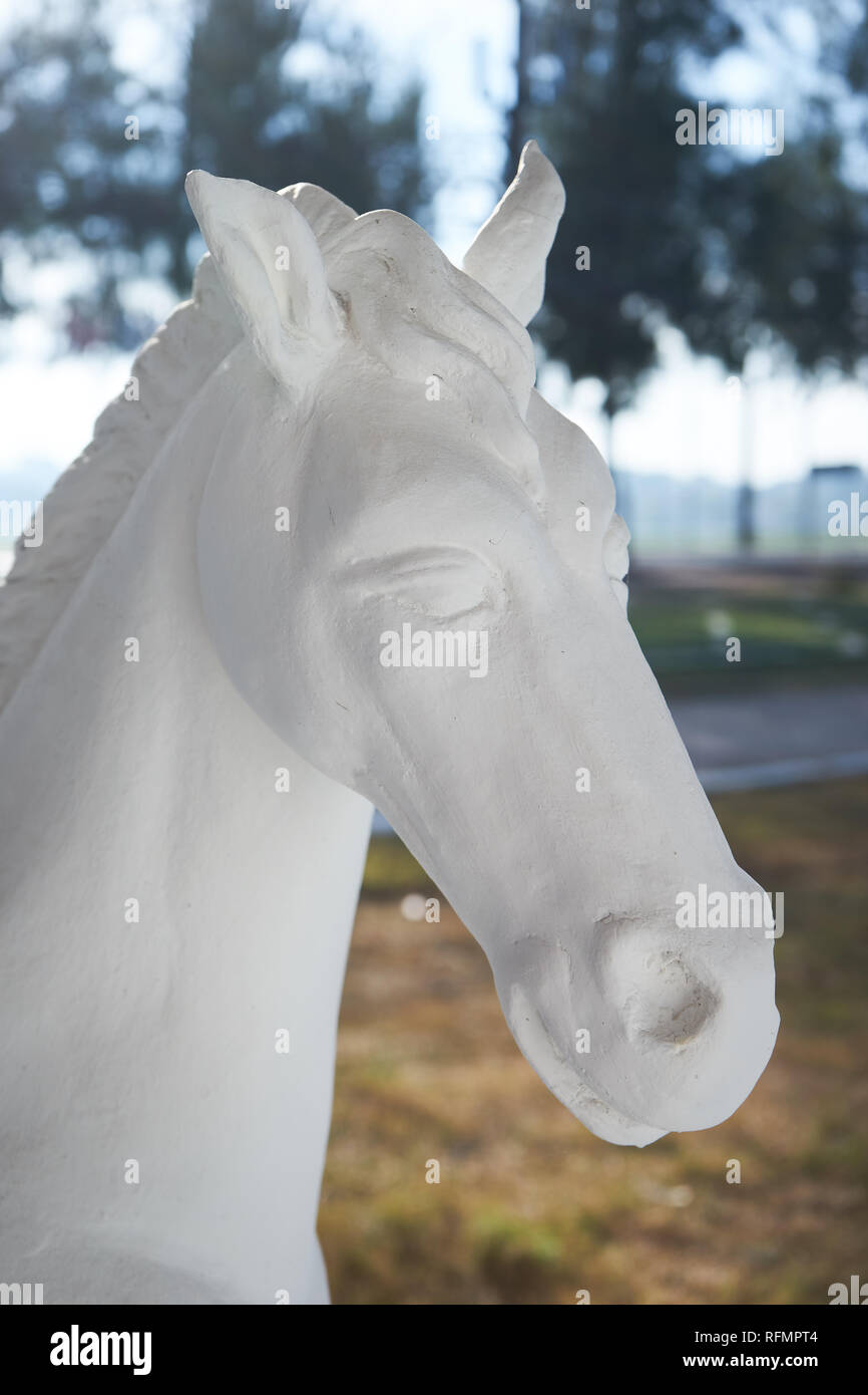 Statue of horse head hires stock photography and images Alamy