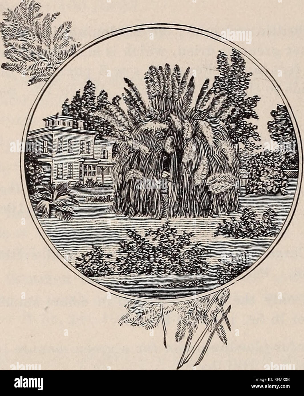 . Johnson & Musser Seed Co.'s catalogue of reliable seeds. Nursery