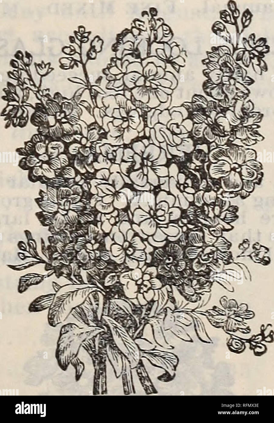 Ilrated And Descriptive Catalogue Of Garden Field