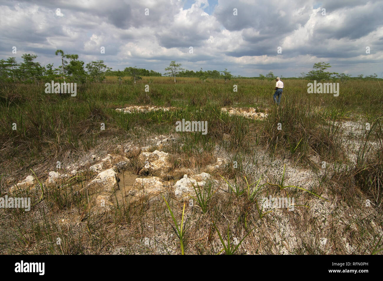 Everglades limestone bedrock exposed during extreme drought conditions