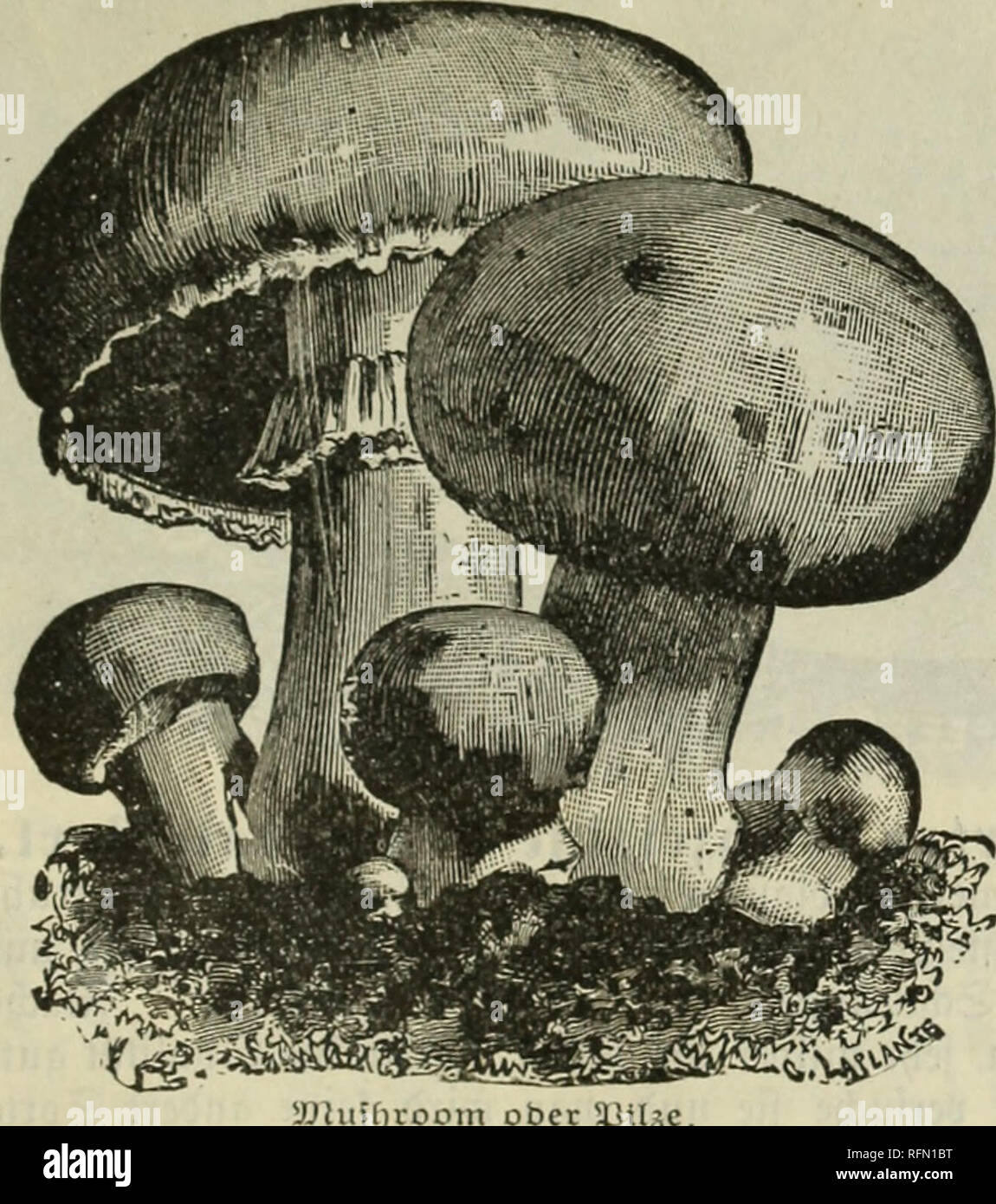 Page 1 F E M A High Resolution Stock Photography And Images Alamy