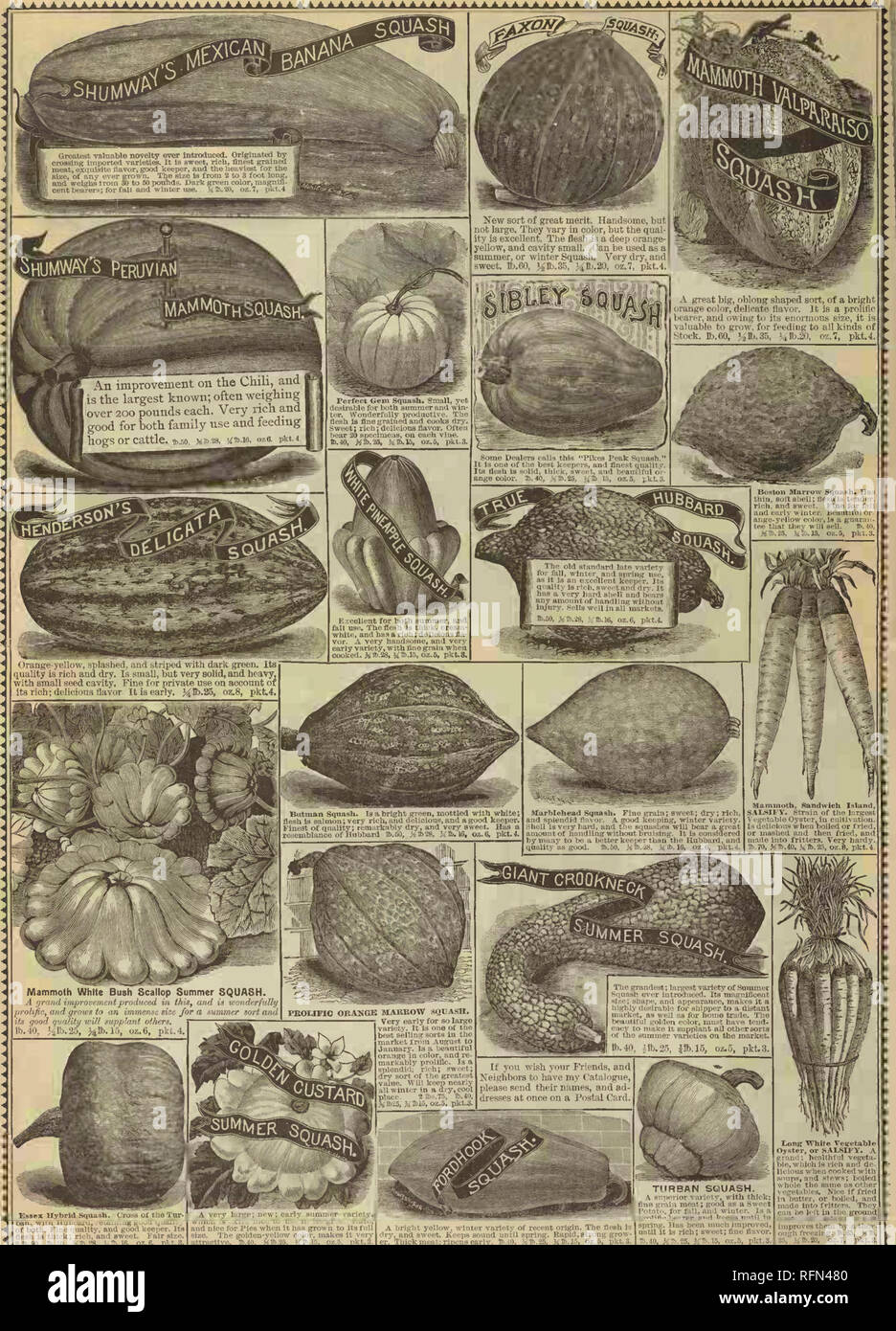 . R.H. Shumway's illustrated garden guide. Nursery stock Illinois