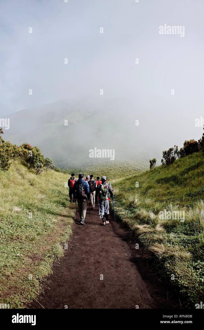 Double Summit Mount Merapi and Mount Merbabu experience Stock Photo - Alamy