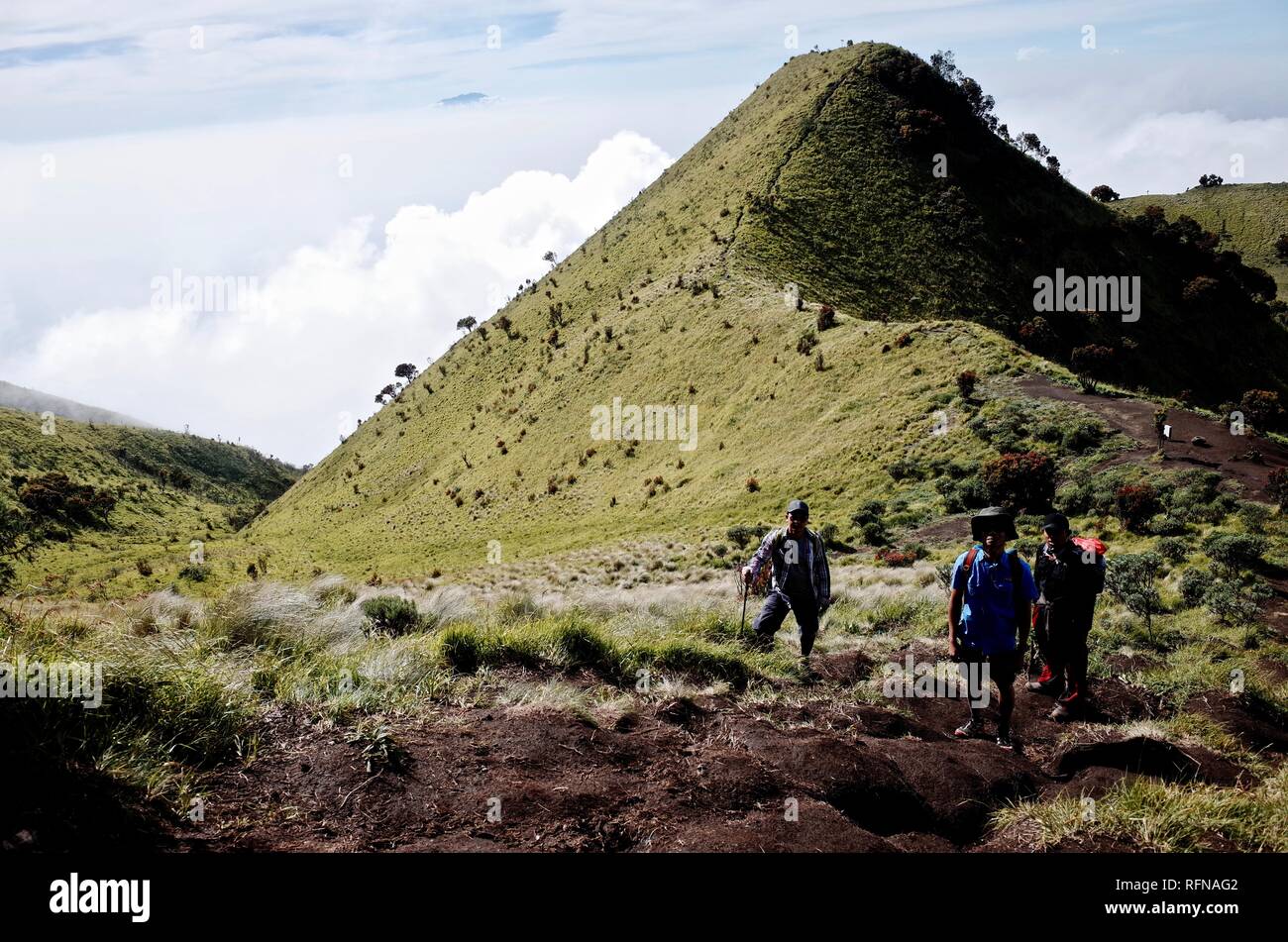 Double Summit Mount Merapi and Mount Merbabu experience Stock Photo - Alamy