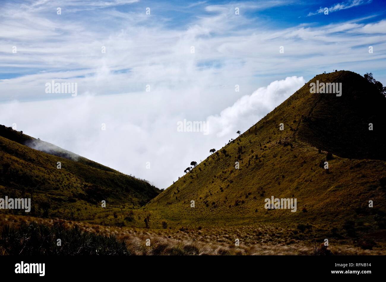 Double Summit Mount Merapi and Mount Merbabu experience Stock Photo - Alamy