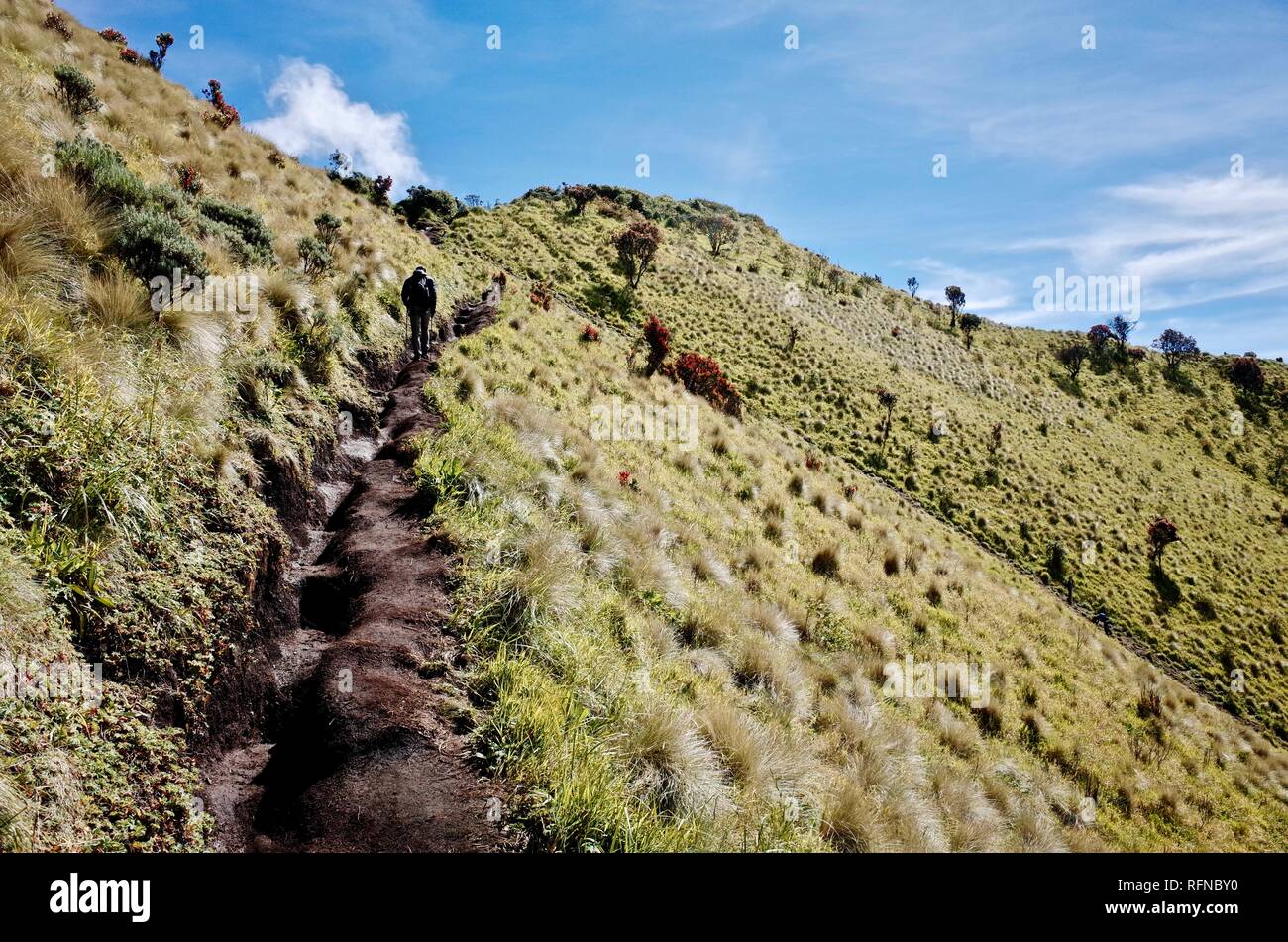 Double Summit Mount Merapi and Mount Merbabu experience Stock Photo