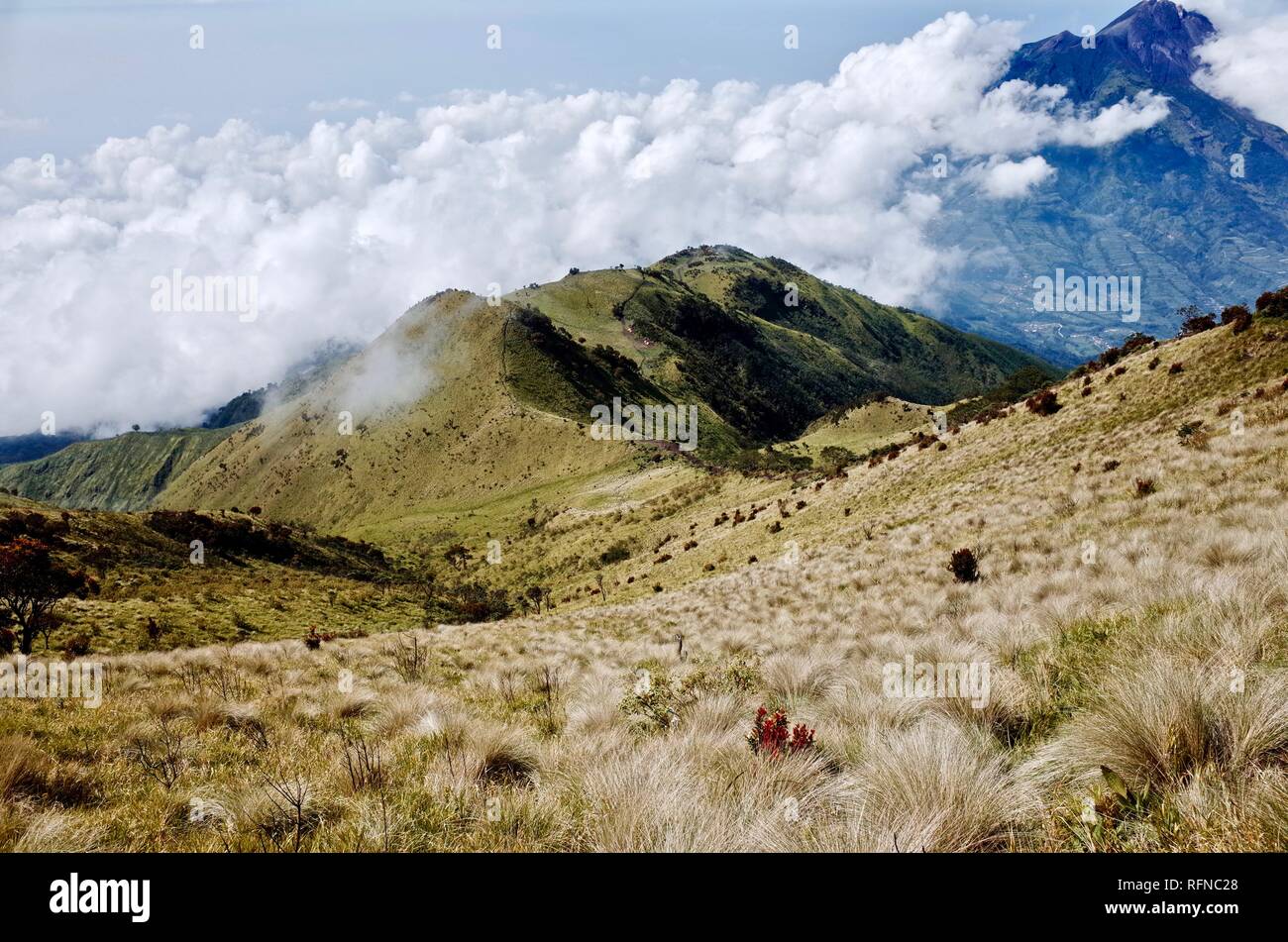 Double Summit Mount Merapi and Mount Merbabu experience Stock Photo - Alamy