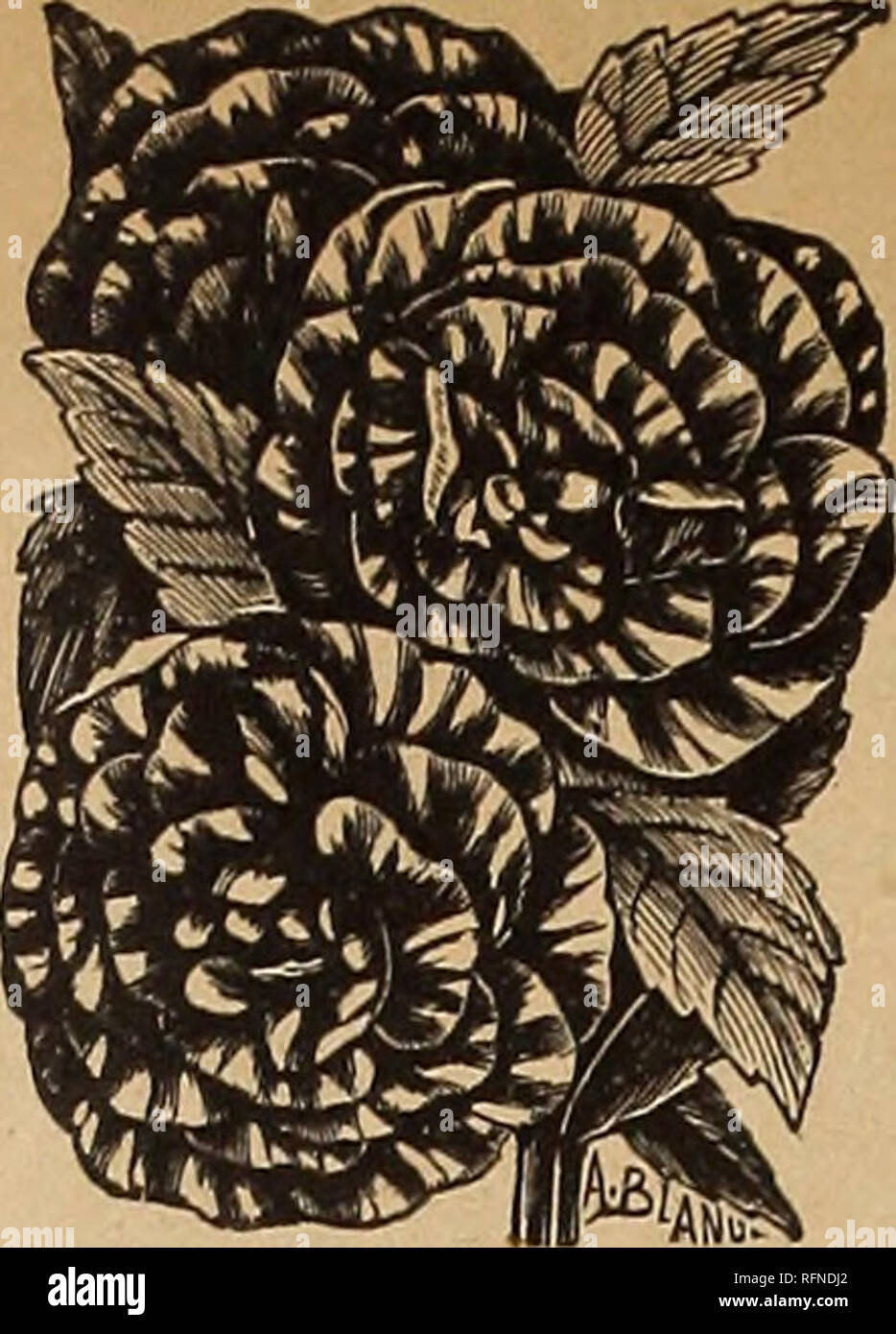 Nebraska Seed Co S Annual Catalogue Reliable Garden And Farm