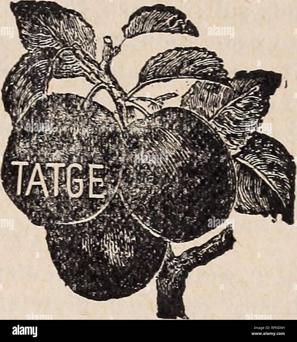 Kentucky a medium size hires stock photography and images Alamy