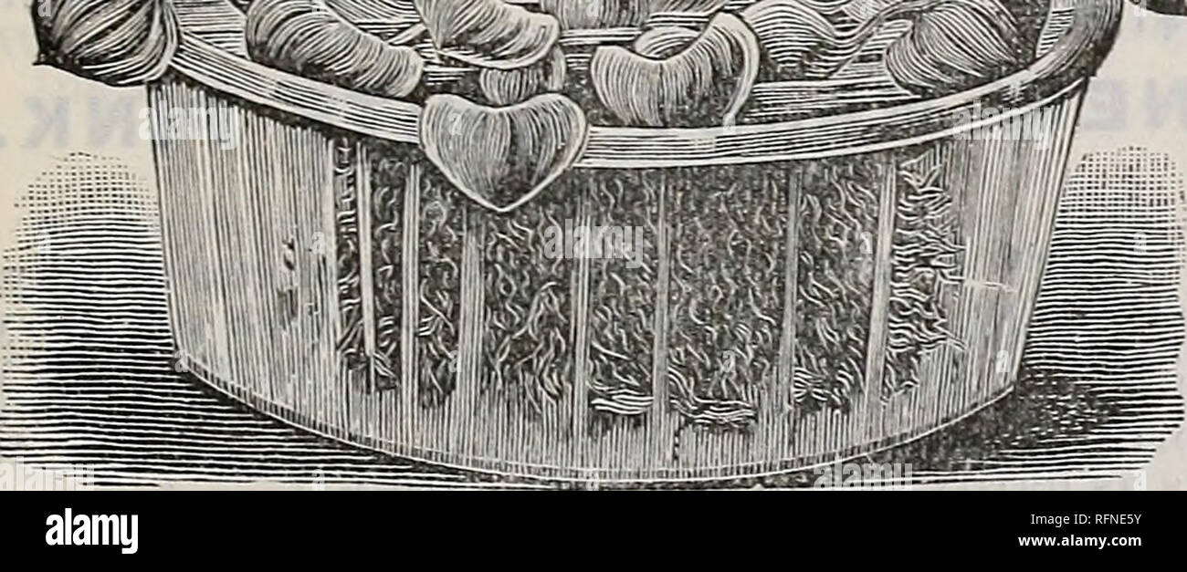 . Goodell's seeds, bulbs, roses, rare water lilies, chrysanthemums and