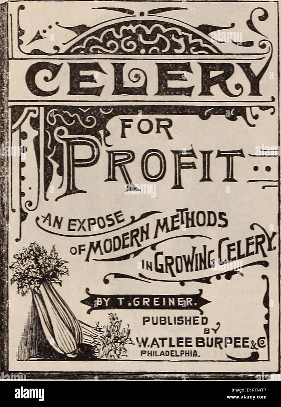 . Burpee's farm annual written at Fordhook Farm. Nurseries (Horticulture) Pennsylvania Philadelphia Catalogs; Vegetables Seeds Catalogs; Plants, Ornamental Catalogs; Flowers Seeds Catalogs. 30 W. ATLEE BURPEE &amp; CO., PHILADELPHIA. CELERY FOR PROFIT. All agree that Celery offers greater chances for making money than any other garden crop. The dif- ficulties encountered by the old&quot; methods of growing, however, made success uncertain, and sure only with comparatively few expert growers. All this uncer- tainty is now a thing of the past, as modern methods make profitable Celery growing pos Stock Photo