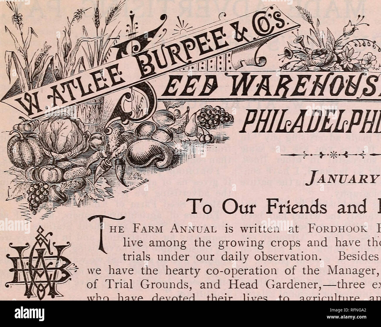 . Burpee's farm annual written at Fordhook Farm. Nurseries (Horticulture) Pennsylvania Philadelphia Catalogs; Vegetables Seeds Catalogs; Plants, Ornamental Catalogs; Flowers Seeds Catalogs. W, ,1 PHILADELPHIA Pi. January i, i8g?. To Our Friends and Patrons:— Farm Annual is written at Fordhook Farm, where we live among the growing crops and have thousands of field trials under our daily observation. Besides able assistants, we have the hearty co-operation of the Manager, Superintendent of Trial Grounds, and Head Gardener,—three experienced men who have devoted their lives to agriculture and hor Stock Photo