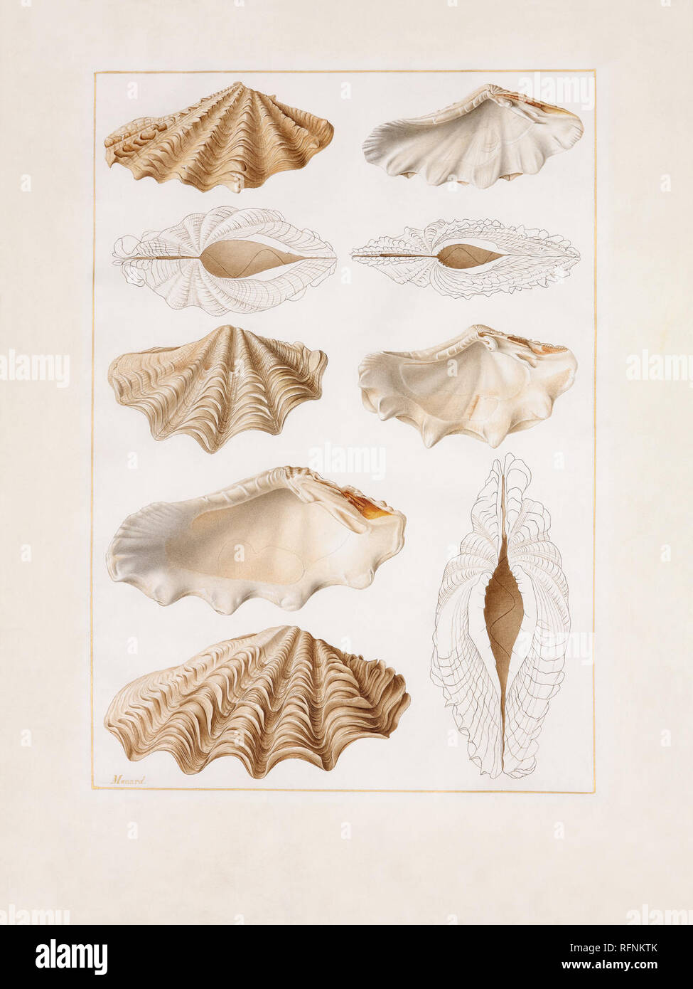 Jean Franois Hi Res Stock Photography And Images Alamy