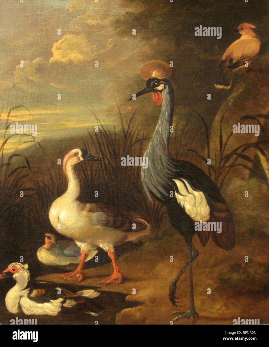 Byss johann rudolf hires stock photography and images Alamy