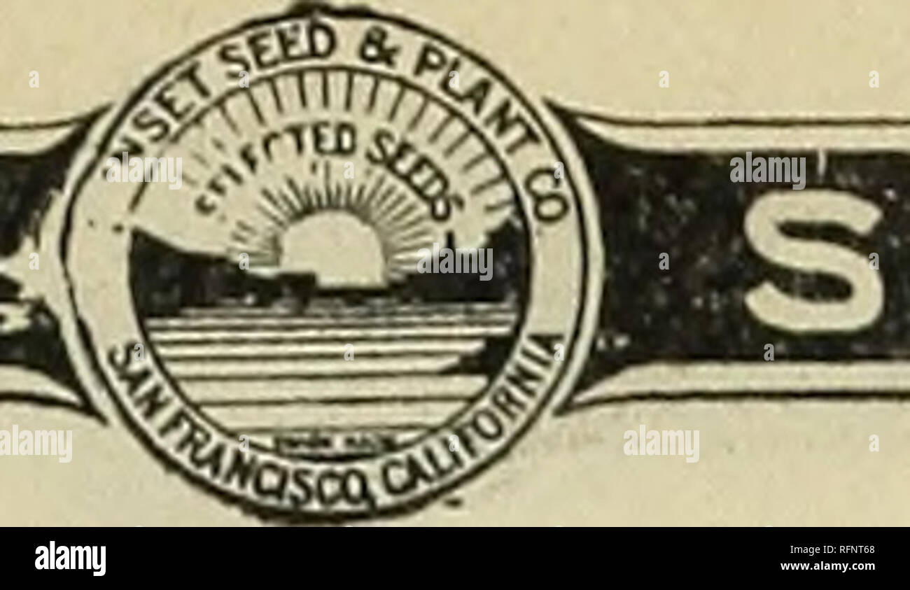 . Sunset Seed and Plant Co. : 1896. Nursery stock California San Francisco Catalogs; Vegetables Seeds Catalogs; Grasses Seeds Catalogs; Flowers Catalogs; Trees Seedlings Catalogs; Plants, Ornamental Catalogs; Fruit Catalogs; Nursery stock; Vegetables; Grasses; Flowers; Trees; Plants, Ornamental; Fruit. 427&gt;9 5ANS0M^SJ.j. SAN FRANCISCO 65 Mulberry, riuticaulis. Fruit white, but worthless; of rapid growth. Chiefly used as food for the silkworm. Price, 6 to 8 feet, 30c each; #2.50 per 10. M. Persian. A variety of slow growth, but producing the largest and finest fruit of all the Mulberries. Th Stock Photo