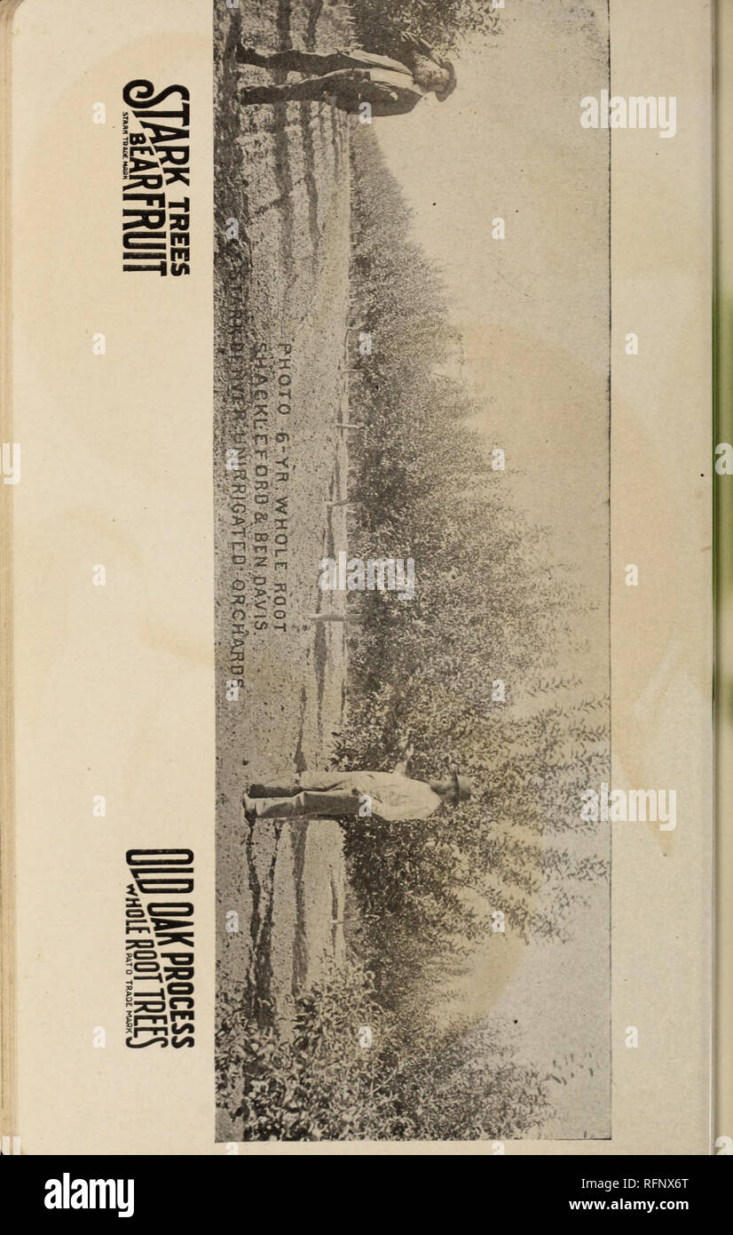 . Stark fruits. Nurseries (Horticulture) Missouri Louisiana Catalogs