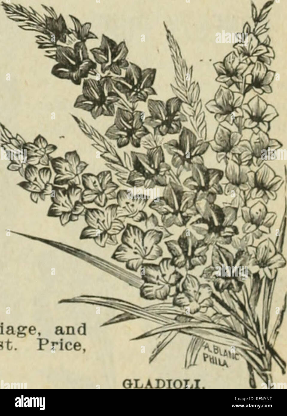 Store cool dry place hires stock photography and images Alamy