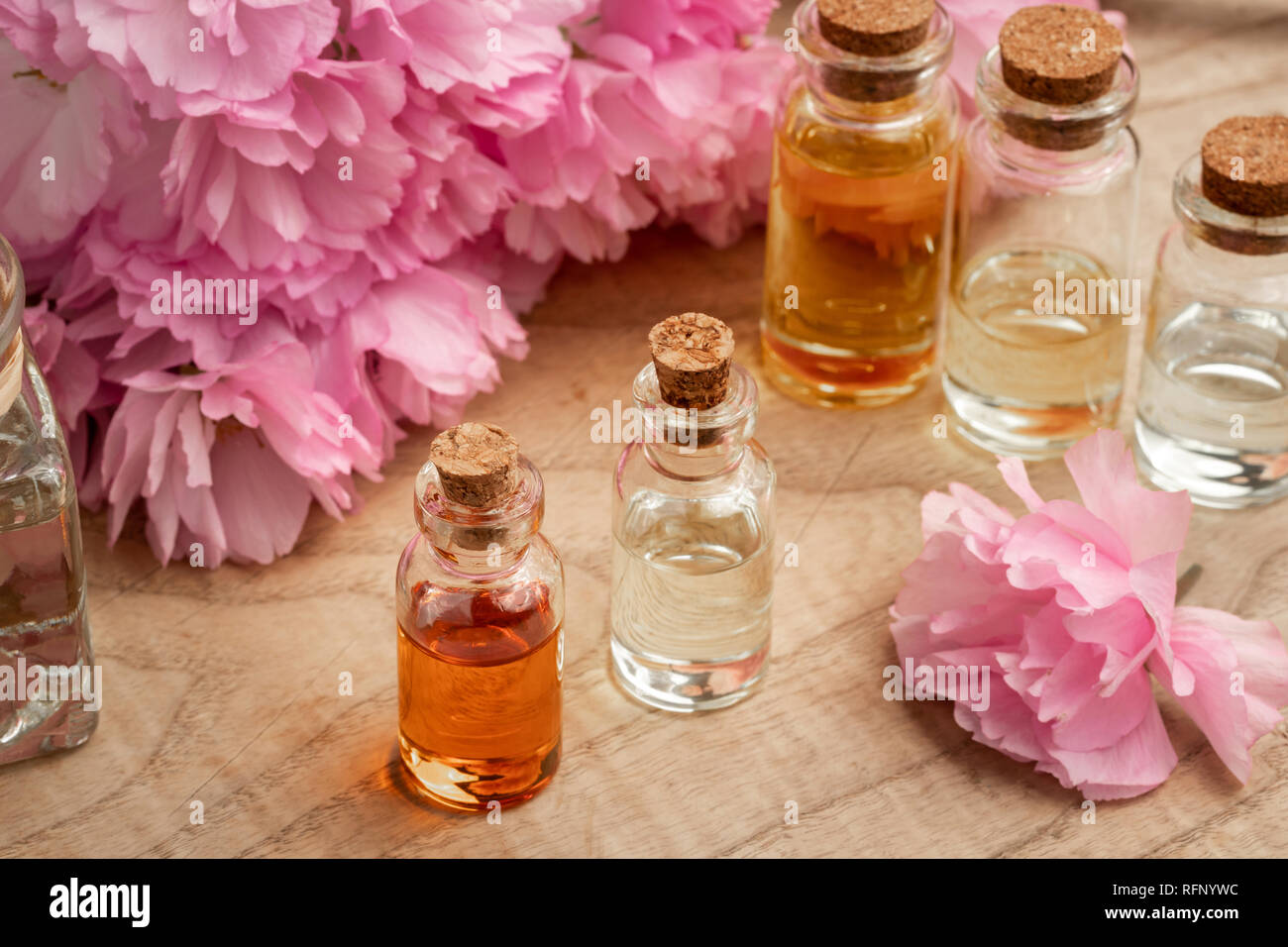 Bottles of essential oil with pink japanese kwanzan cherry blossoms