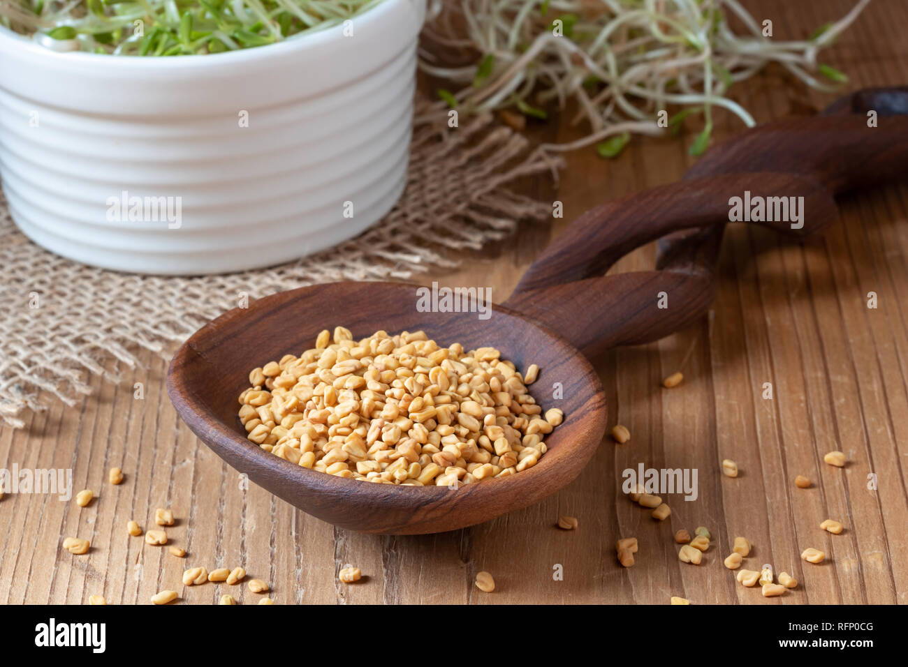Fenugreek seeds on a spoon and fresh sprouts in the background Stock Photo