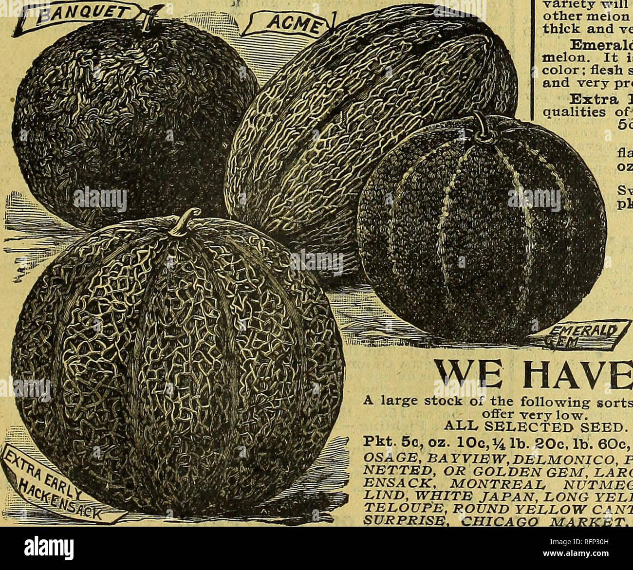 . Farm and floral guide : seeds, plants, bulbs, fruits and seed potatoes. Nurseries (Horticulture) Minnesota Saint Paul Catalogs; Plants, Ornamental Catalogs; Vegetables Seeds Catalogs; Fruit Catalogs; Flowers Seeds Catalogs; Nurseries (Horticulture); Plants, Ornamental; Vegetables; Fruit; Flowers. DESCRIPTION OF WINTER PINEAPPLE, The Longest Keeping, Finest Flavored Melon in the World. A most valuable variety -which originally came from the Sandwich Islands. The melons are almost solid, as shown in our illustration, and will weigh about twice as much as any other variety of the same size. The Stock Photo
