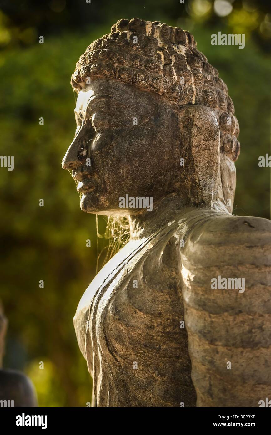 Head of a Buddha statue, Lumbini, Nepal Stock Photo Alamy