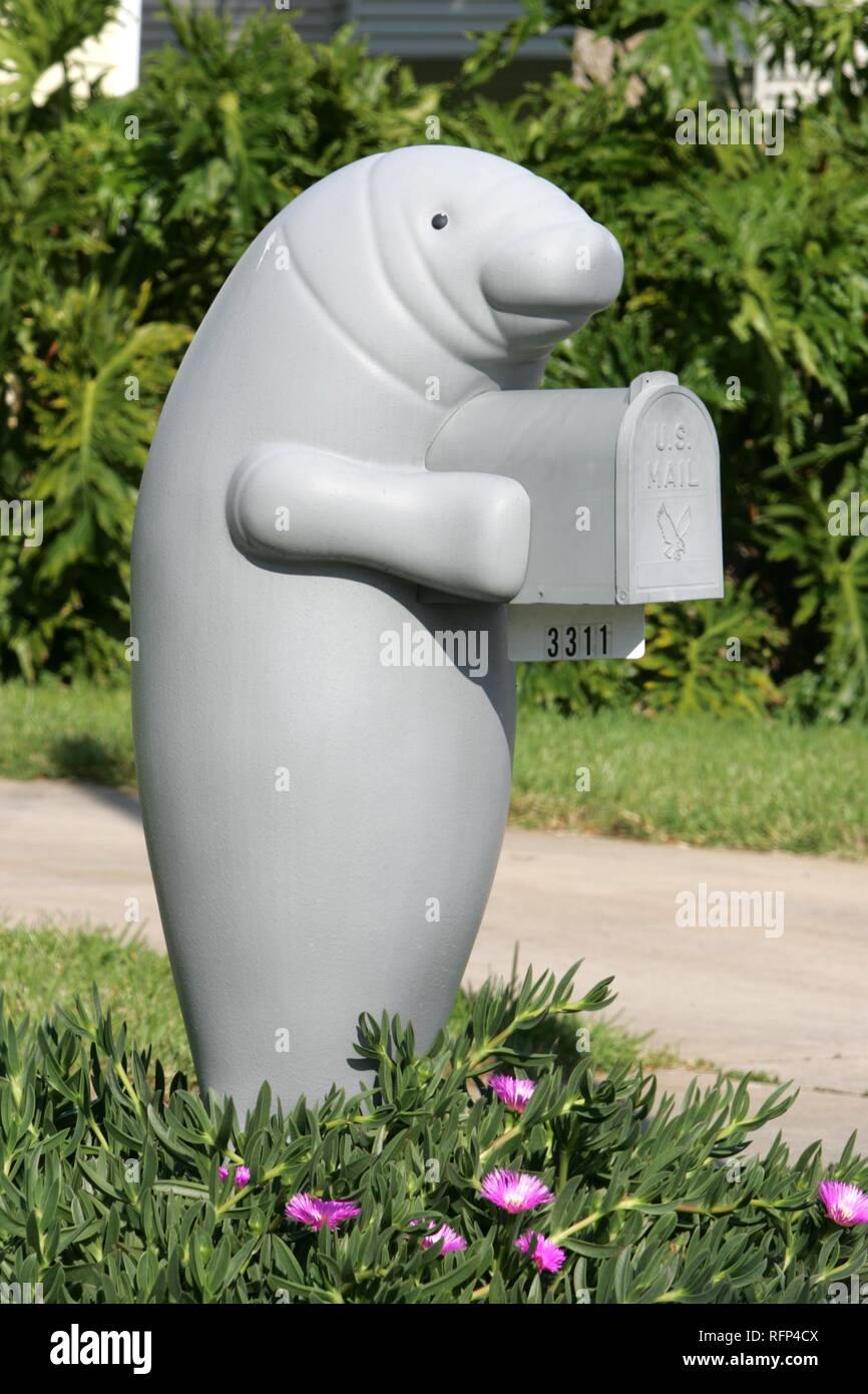 A manatee mailbox hi-res stock photography and images - Alamy