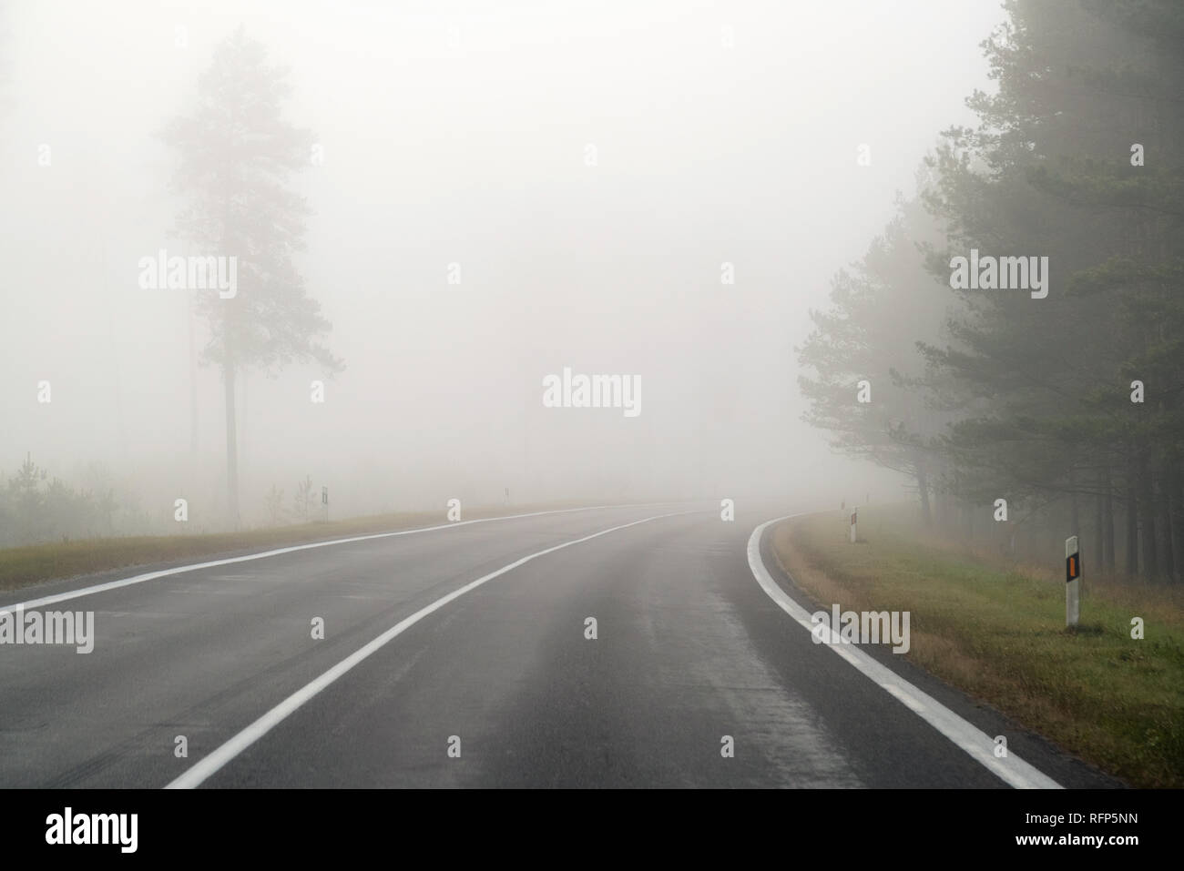 Driving on countryside road in fog. Illustration of dangers of driving