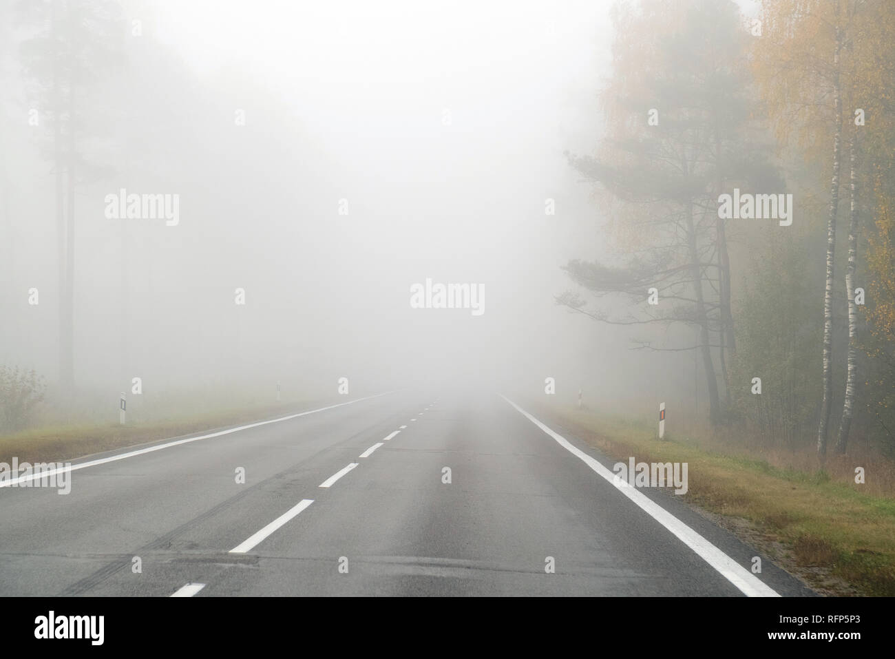 Driving on countryside road in fog. Illustration of dangers of driving