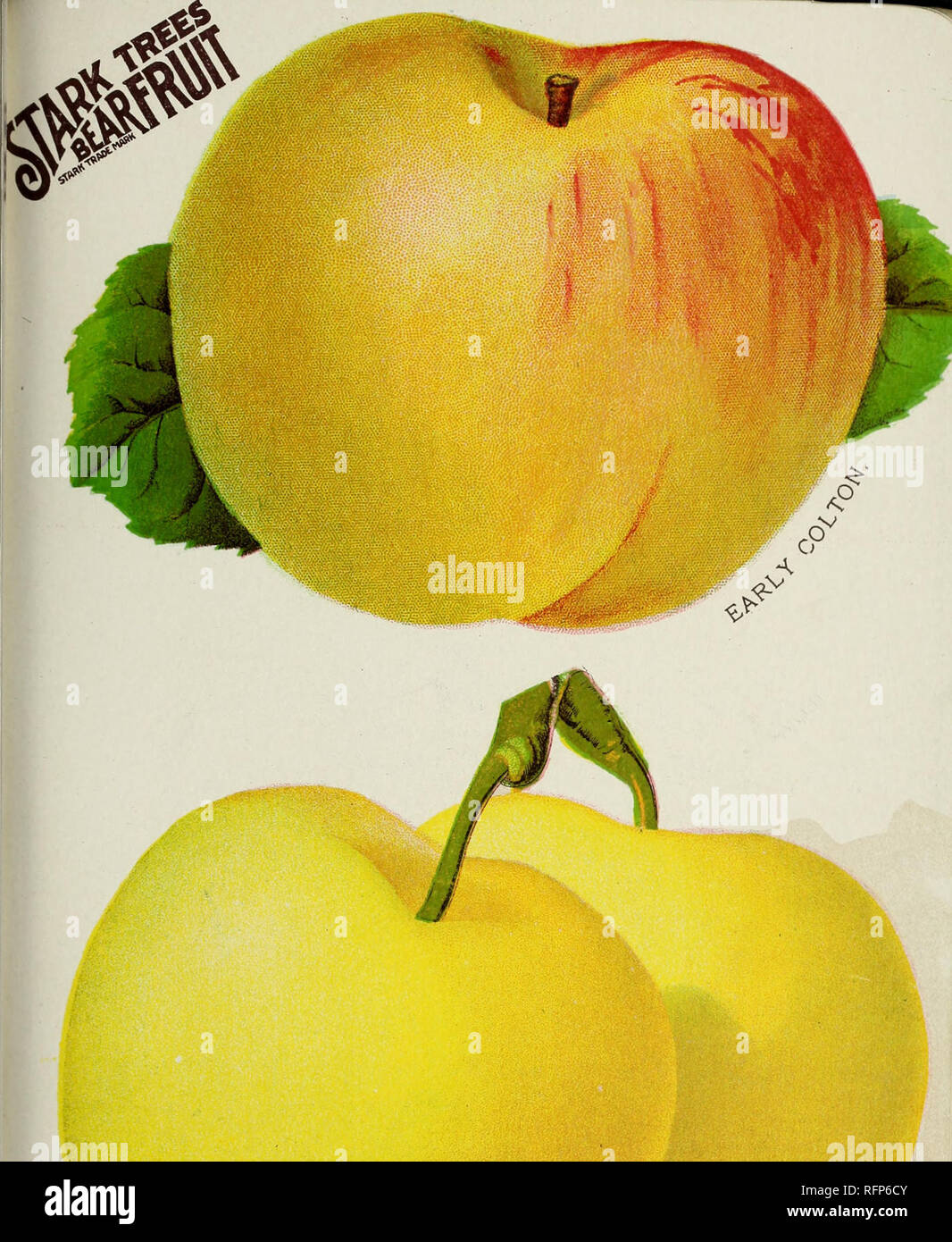 . Stark fruits. Nurseries (Horticulture) Missouri Louisiana Catalogs
