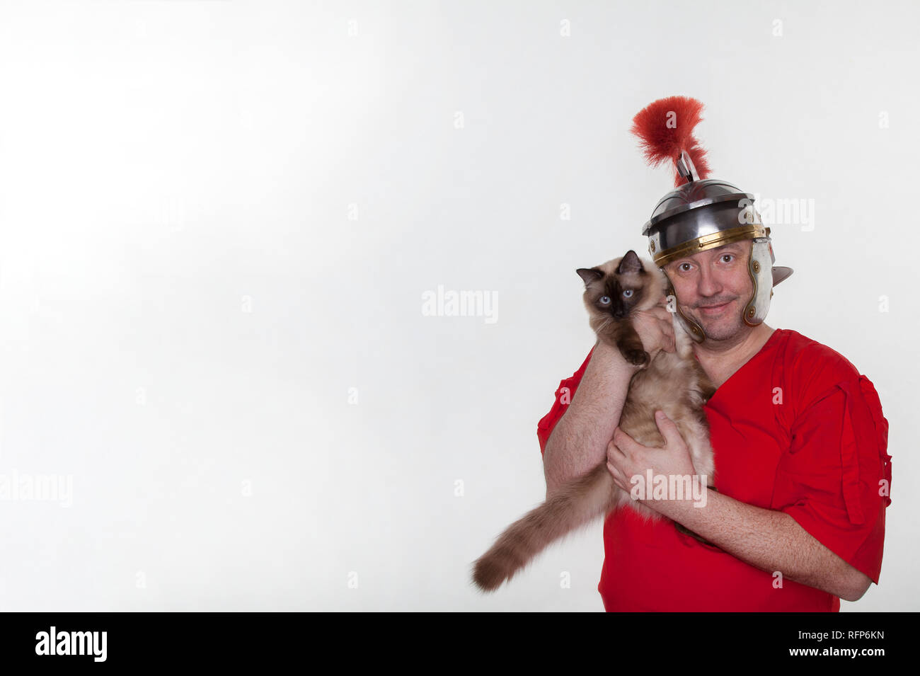 Roman Riding Cat A roman soldier with a siamese cat on the white background Stock Photo ...