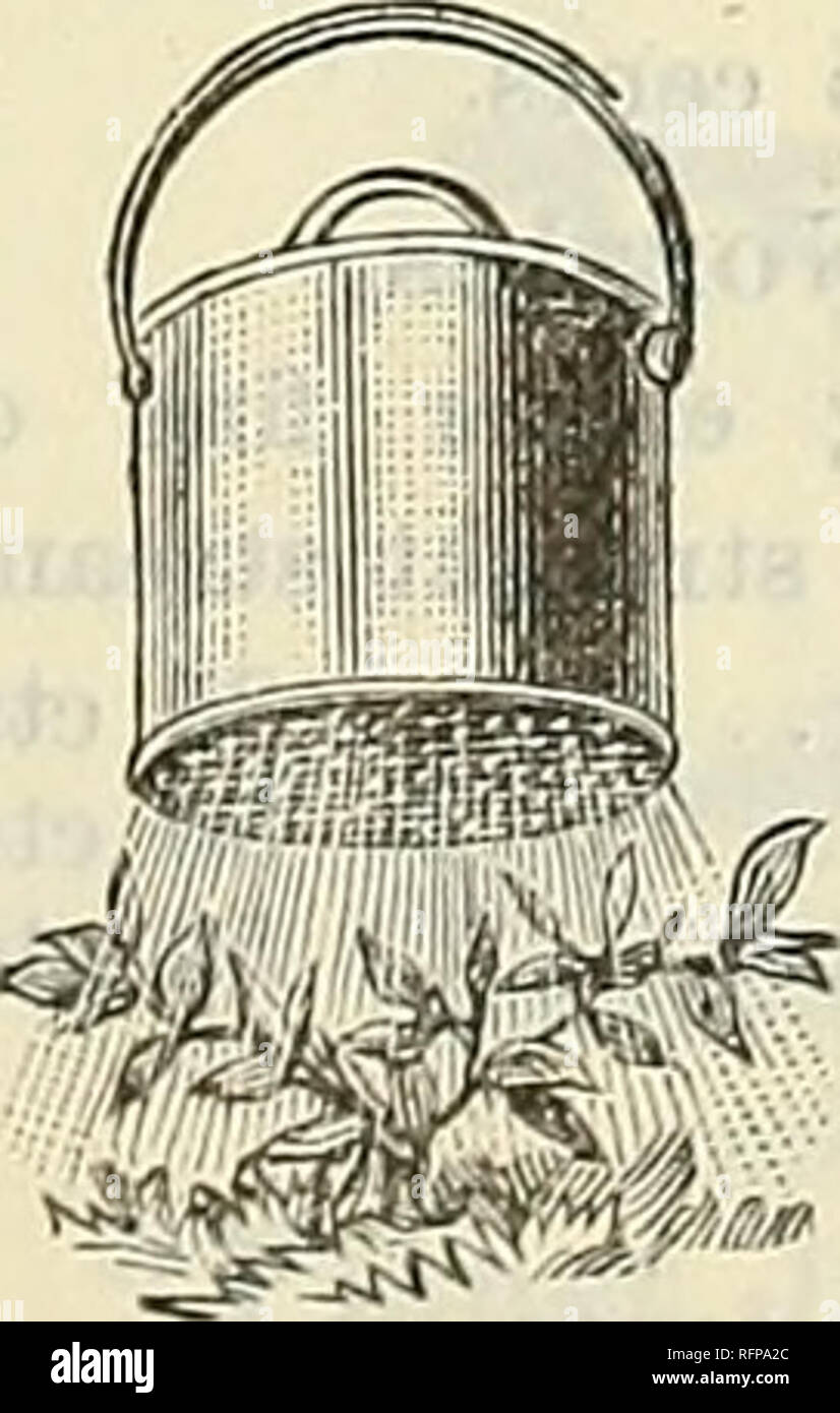 Paris excelsior hi-res stock photography and images - Alamy