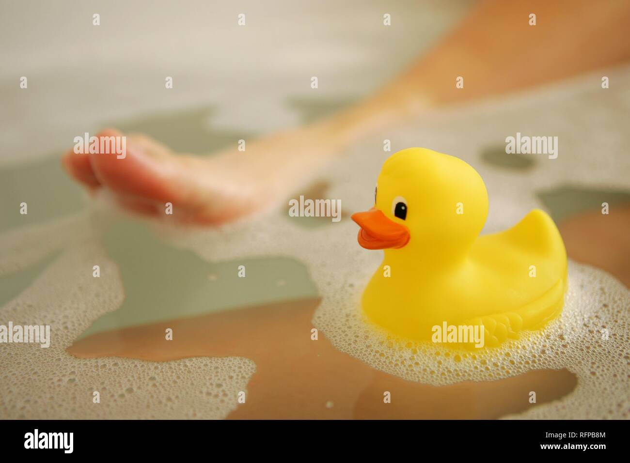 DEU, Germany Yellow rubber duck Stock Photo Alamy