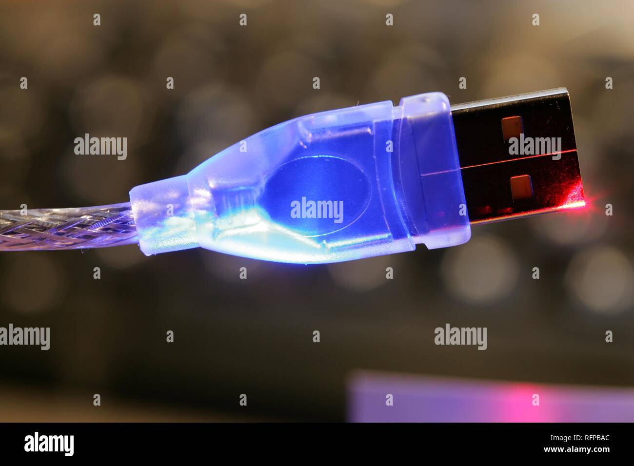 DEU, Germany : USB cable, USB plug to a personal computer. USB 2.0 higspeed connection. Stock Photo