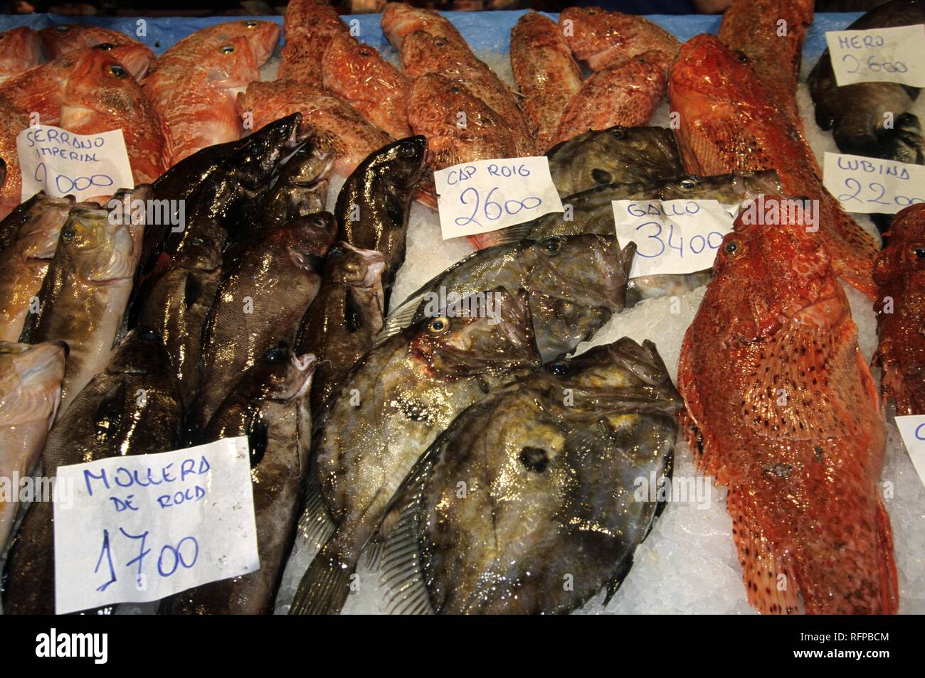 ESP, Spain, Balearic Islands, Mallorca : a fishmonger, Mercat de L'olivar covered market. Stock Photo