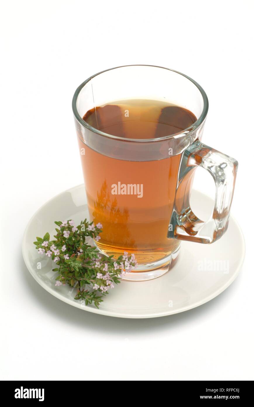 Herb tea made of thyme, thymus vulgaris Stock Photo Alamy
