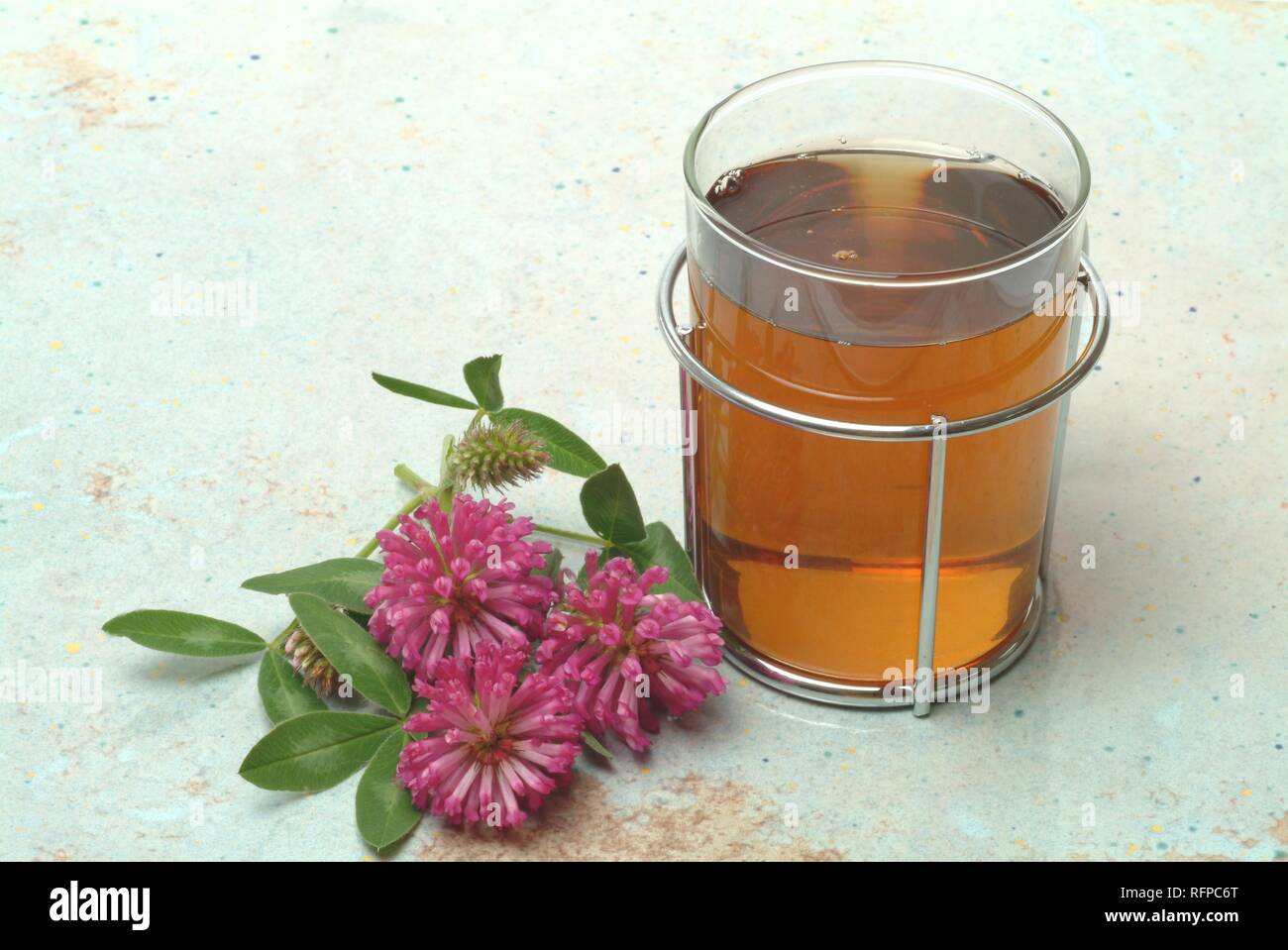 Herb tea made of red clover, Trifolium pratense Stock Photo