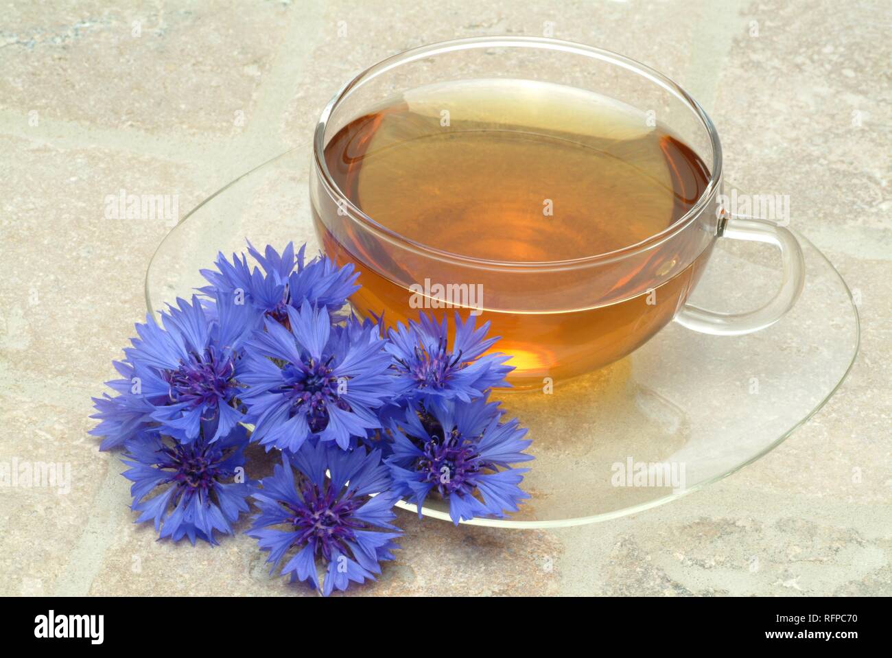 Herb tea made of Cornflower, centaura cyanus Stock Photo Alamy