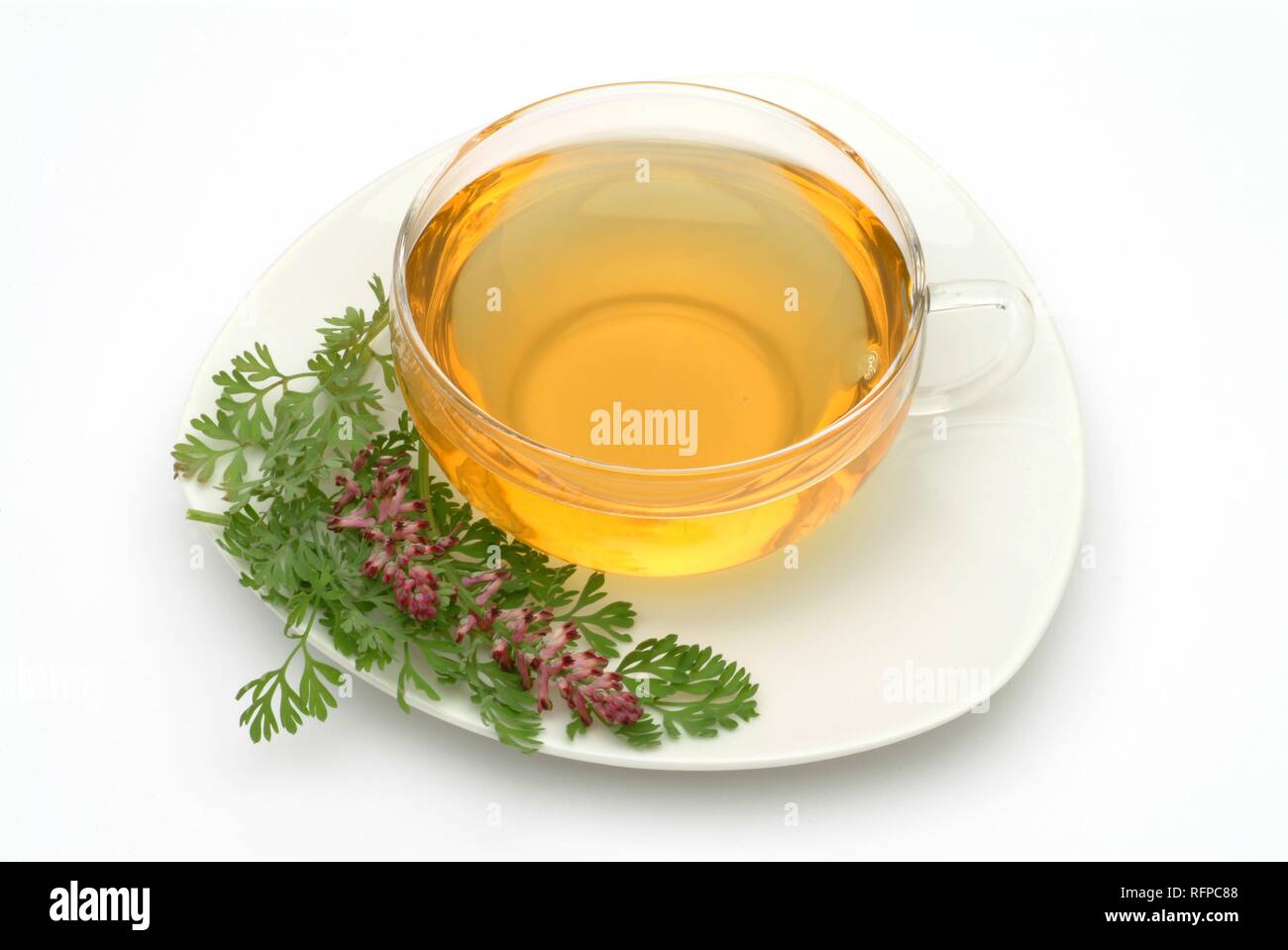 Herb tea made of Fumaria officinalis Stock Photo