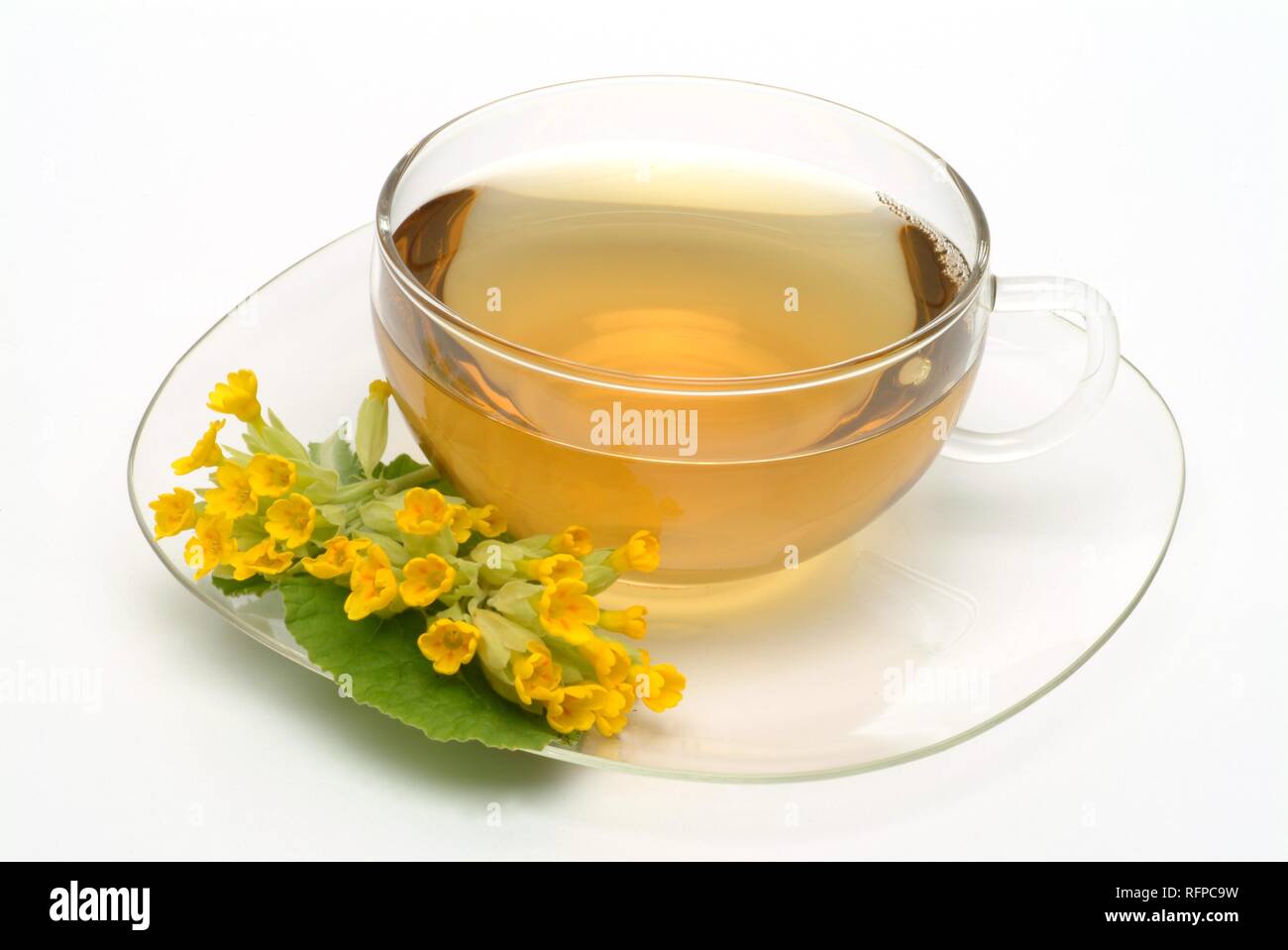 Herb tea made of cowslip, Primula officinalis, Stock Photo