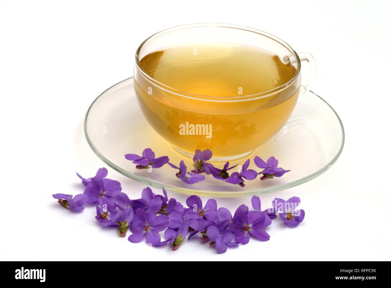 Herb tea made of Viola odorata, Blue Violet, Sweet Violet Stock Photo